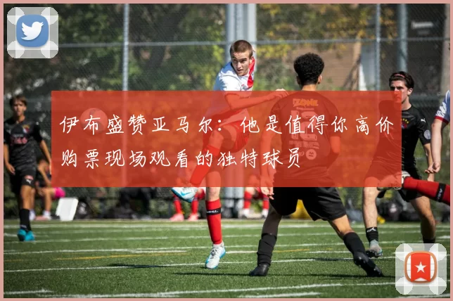伊布盛赞亚马尔：他是值得你高价购票现场观看的独特球员